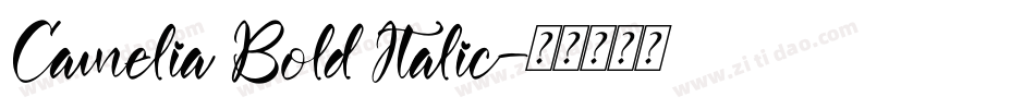 Camelia Bold Italic字体转换